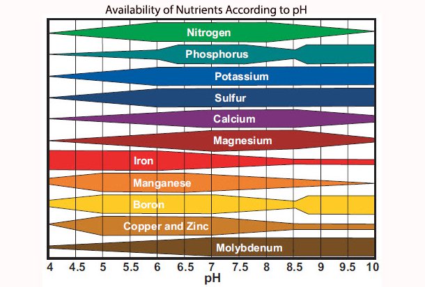 Nutrient absorption PH chart