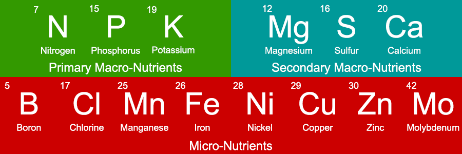 Hydroponic plant nutrients chart